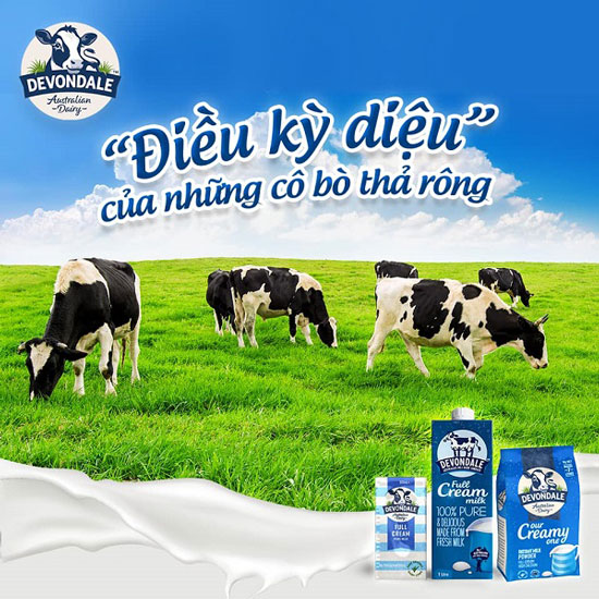 Sữa Nguyên Kem Úc Devondale Dạng Bột 1kg