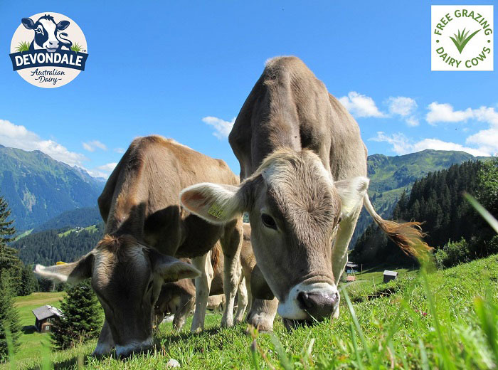 Sữa Nguyên Kem Úc Devondale Dạng Bột 1kg