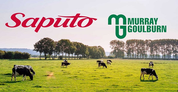 sữa tươi devondale úc có mấy loại, mua sữa devondale ở đâu