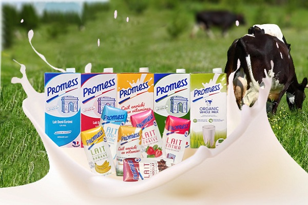 Sữa tươi cho bé 1 tuổi